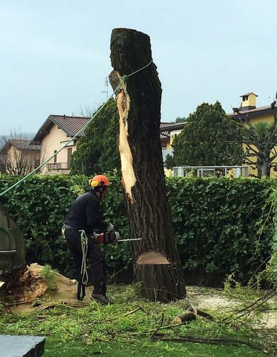 giardiniere ticino