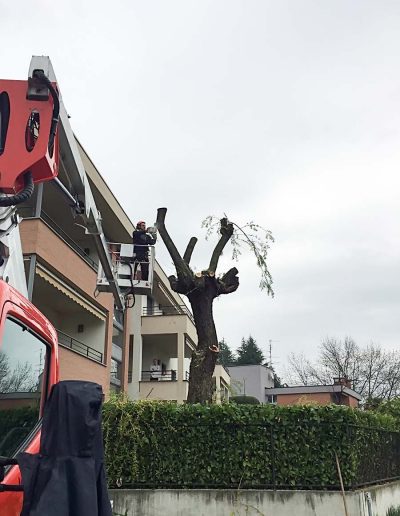 manitenzione giardini mendrisio
