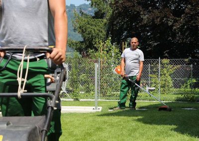 giardinaggio mendrisiotto