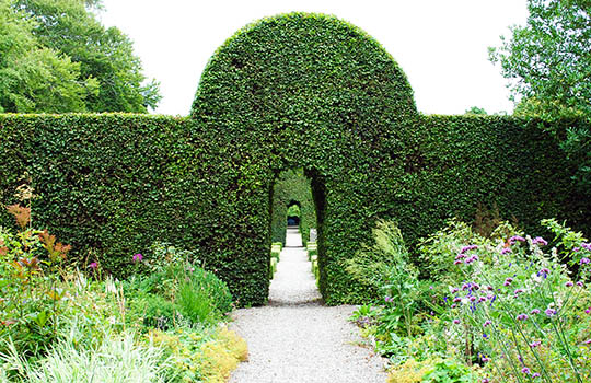 Architetture vegetali<br />
