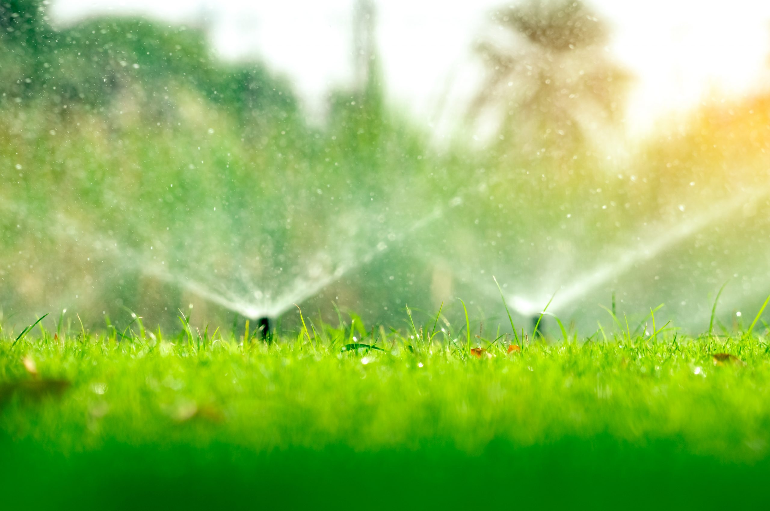 Irrigazione Automatica per Giardini