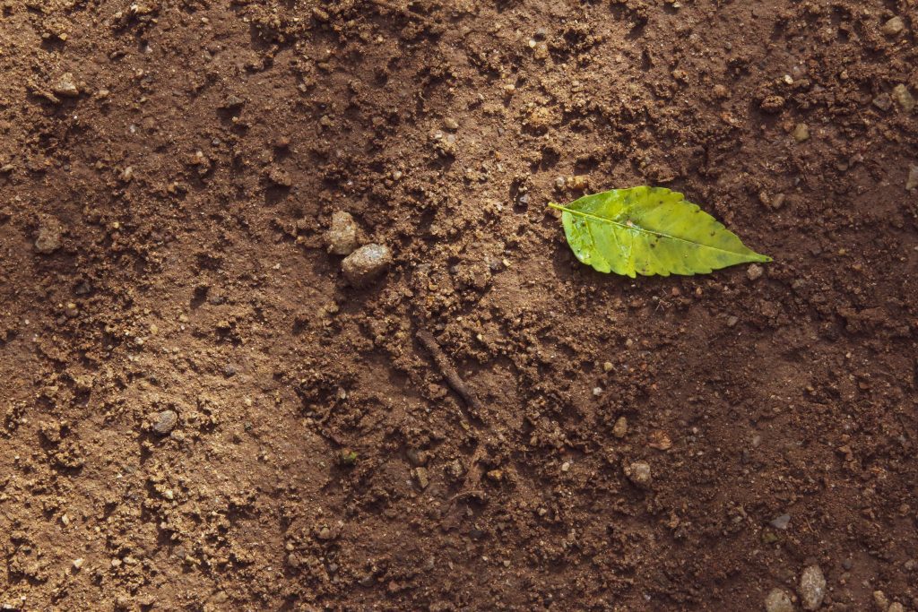costruzione giardini